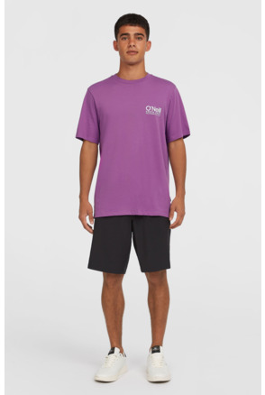 O’NEILL HYBRID CHINO 19" SHORTS