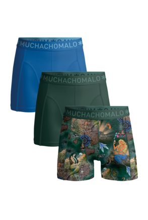 Heren 3-Pack Boxershorts Print/Effen Print/Green/Blue