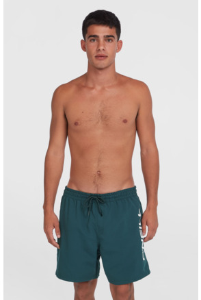 CALI 16'' SWIMSHORTS