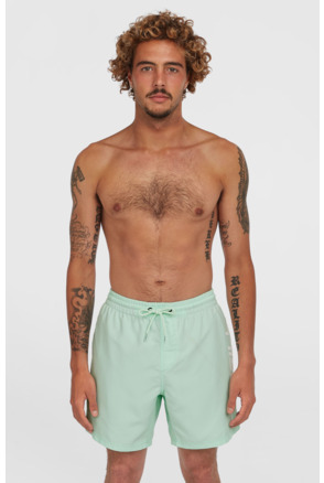 CALI 16'' SWIMSHORTS