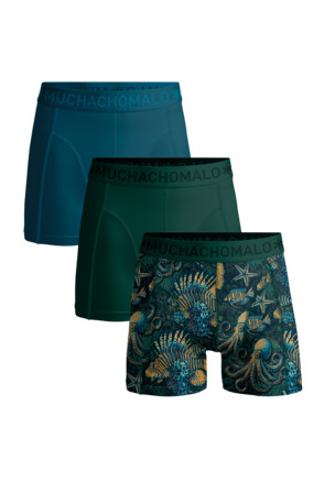Heren 3-Pack Print/Green/Blue