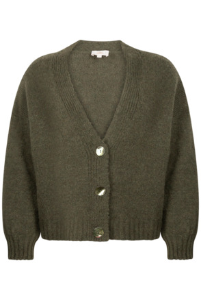 Aaiko Dames wol viscose acryl vest winter moss cardigan